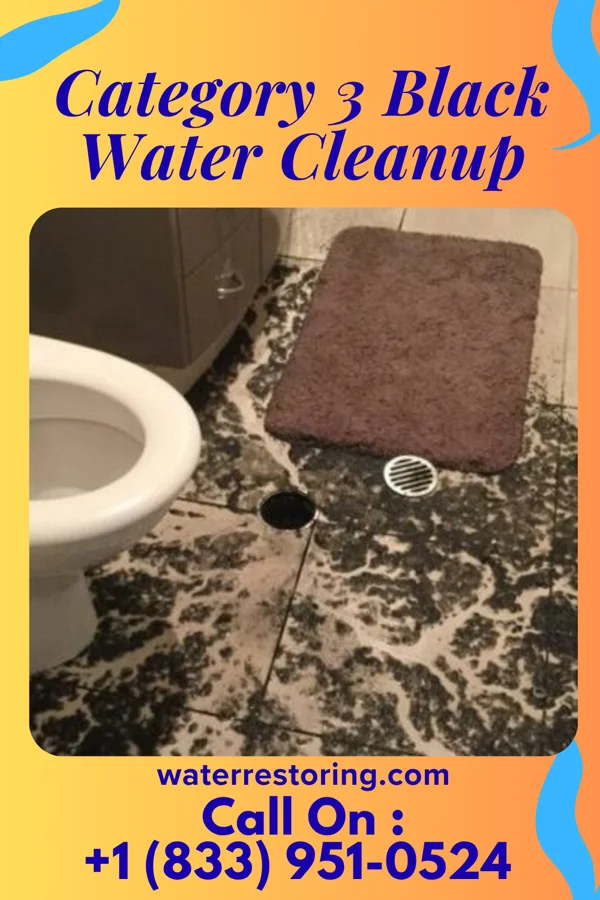 Category 3 Black Water Cleanup in Altamont, KS